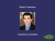 Daniel Chammas: Expertise in Litigation