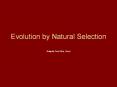 Evolution by Natural Selection PowerPoint PPT Presentation