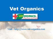 Ear Mites in Dog - www.vet-organics.com