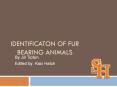 IDENTIFICATON OF FUR BEARING ANIMALS PowerPoint PPT Presentation