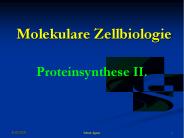 Molekulare Zellbiologie