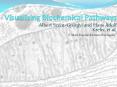 Visualizing Biochemical Pathways PowerPoint PPT Presentation