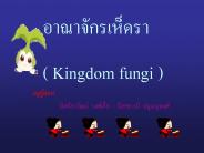 ??????????? (Taxonomy)   ???????? (Classification)  ??????????????????? (Identification)   ?????????????????????? (Nomenclature)