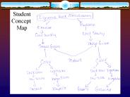 Sedimentary Rocks