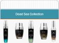 Dead Sea Collection PowerPoint PPT Presentation