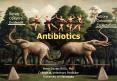 Antibiotics PowerPoint PPT Presentation