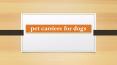 pet carriers for dogs PowerPoint PPT Presentation