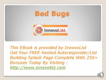 Bed Bugs
