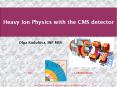 Heavy Ion Physics with the CMS detector PowerPoint PPT Presentation
