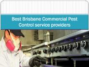 Best Brisbane Commercial Pest Control service providers