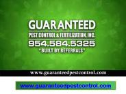 Ant Controll, Weeds Control, Guaranteed Pest Control (1)