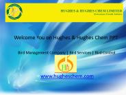 Bird Control Products