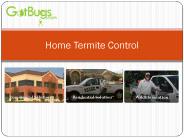 residential pest control dallas