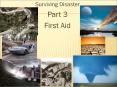 Surviving Disaster PowerPoint PPT Presentation