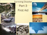 Surviving Disaster