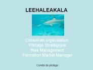Conseil en organisation,