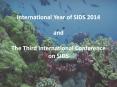 International Year of SIDS 2014 and  The Third International Conference on SIDS PowerPoint PPT Presentation