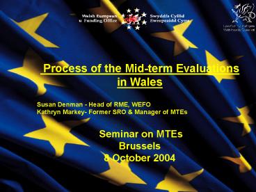 Process of the Mid-term Evaluations