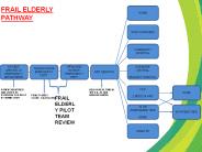 FRAIL ELDERLY PATHWAY