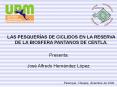 LAS PESQUER PowerPoint PPT Presentation