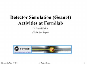 Detector Simulation (Geant4) Activities at Fermilab