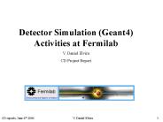 Detector Simulation (Geant4) Activities at Fermilab