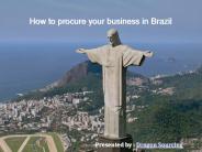 How To Procure Your Business In Brazil