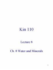 Kin 110