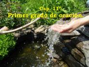 Cap. 11
