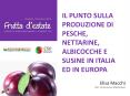 PROGETTI APPROFONDIMENTI E PROSPETTIVE PowerPoint PPT Presentation