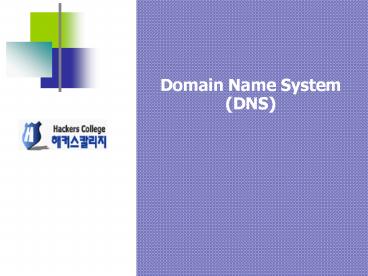Domain%20Name%20System%20(DNS)