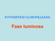 Fotosintesi clorofilliana