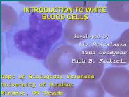 INTRODUCTION TO WHITE BLOOD CELLS
