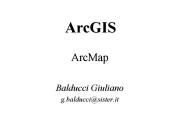 ArcGIS