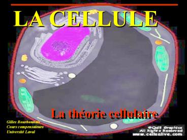 Aucun%20titre%20de%20diapositive