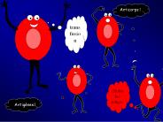 Immunologie g