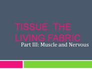 Tissue: The Living Fabric