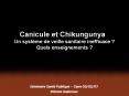 Canicule et Chikungunya  PowerPoint PPT Presentation