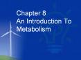 Chapter 8        An Introduction To Metabolism PowerPoint PPT Presentation