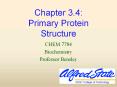 Chapter 3.4: Primary Protein Structure PowerPoint PPT Presentation