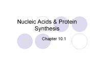 Nucleic Acids