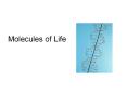 Molecules of Life PowerPoint PPT Presentation