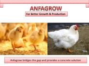 Manufacturer Broiler Growth Promoter India