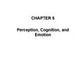 Perception, Cognition, and Emotion PowerPoint PPT Presentation