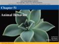 Animal Behavior PowerPoint PPT Presentation