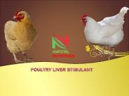 Liver Tonic For Hen