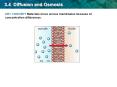 3.4 Diffusion and Osmosis PowerPoint PPT Presentation