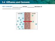 3.4 Diffusion and Osmosis