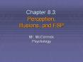 Chapter 8.3: Perception, Illusions, and ESP PowerPoint PPT Presentation