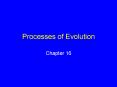 Processes of Evolution PowerPoint PPT Presentation